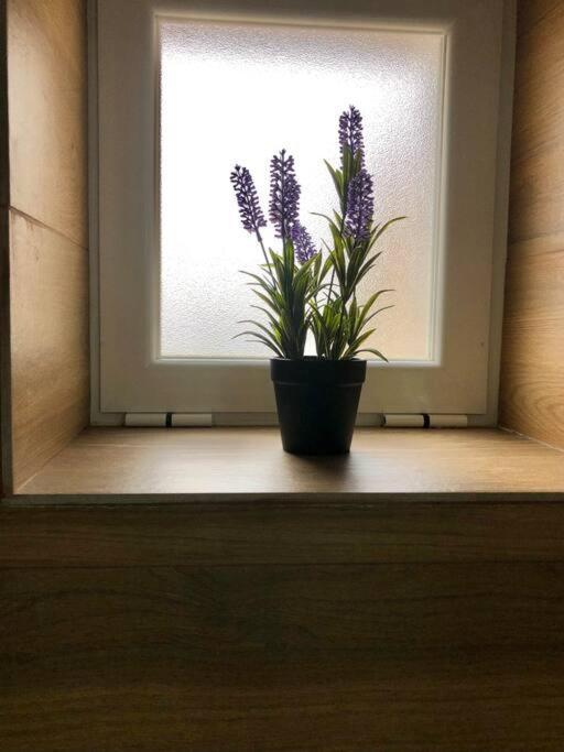 A&C Cozy Apartment Элваш Экстерьер фото